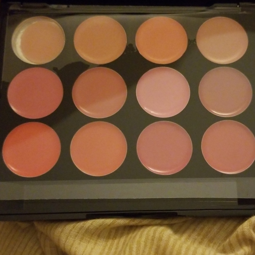 ISH #imsmokinghot 12 color Lip Palette